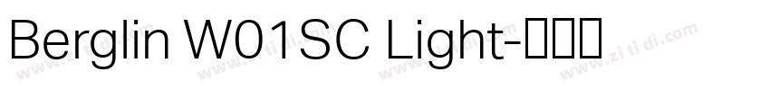 Berglin W01SC Light字体转换